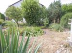 262165e Garten (1 von 1)